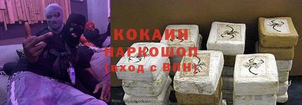 стафф Арсеньев