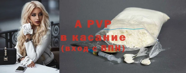 стафф Арсеньев