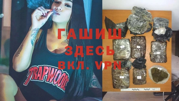 стафф Арсеньев