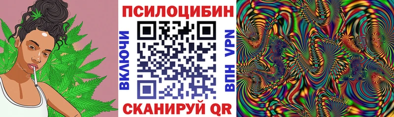 Галлюциногенные грибы Psilocybe  наркошоп  Сортавала 